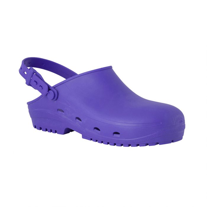 Reposa Max Violeta - Imagen 2